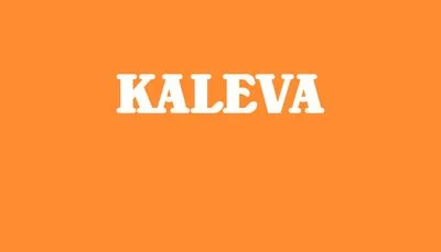 Second Line Customer Service for Kaleva logo